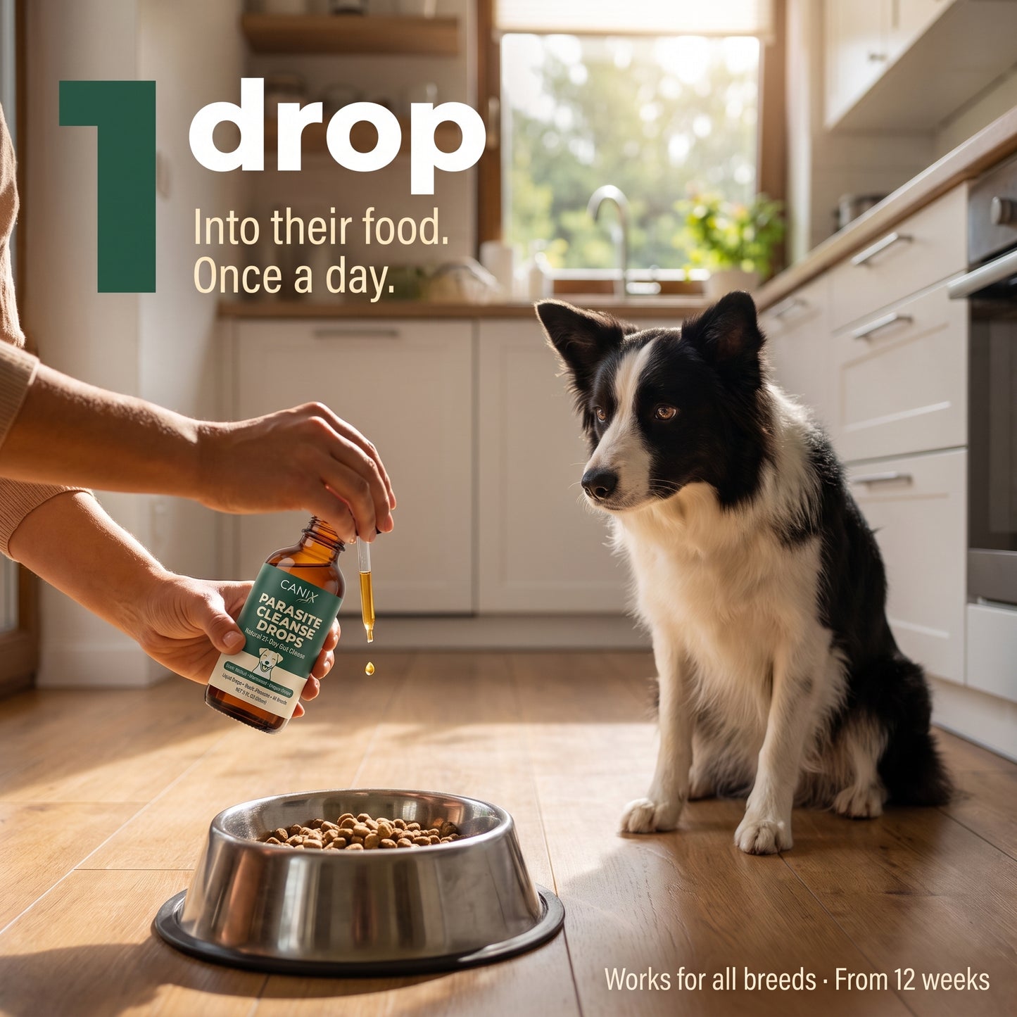 Parasite Cleanse Pet Care Drops